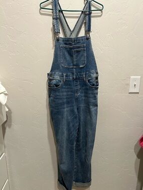 Carve Designs Light Wash Denim Overalls